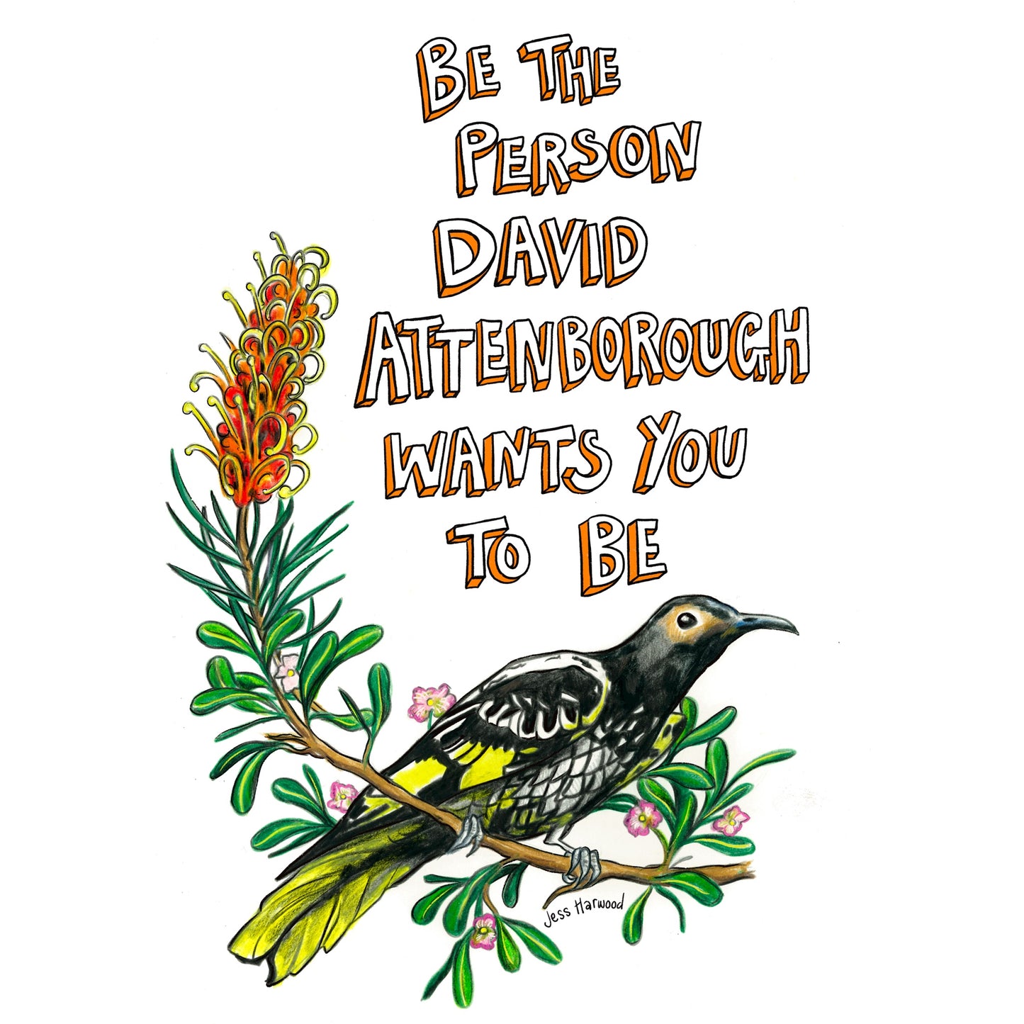 Be like David Attenborough T-shirt - Youth size
