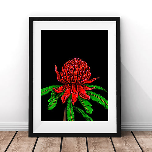 Waratah fine art print