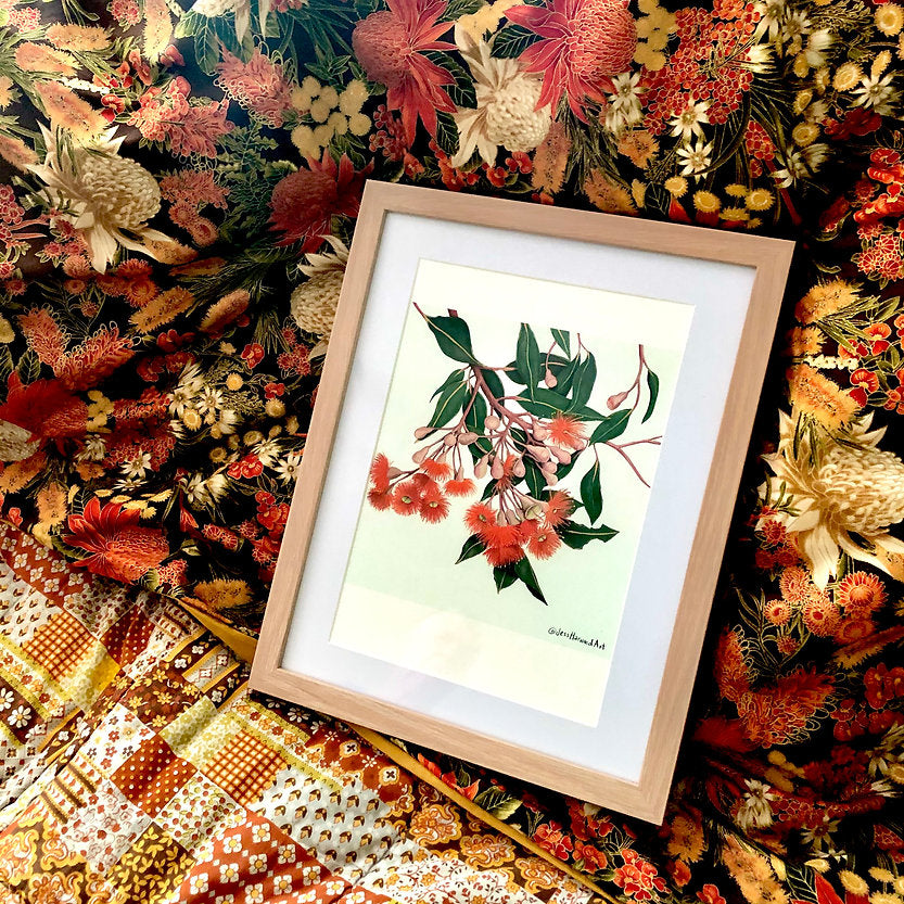 'Baby Orange' gum blossoms fine art print