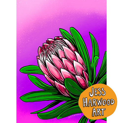 Protea fine art print