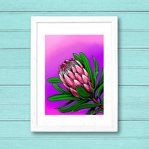 Protea fine art print
