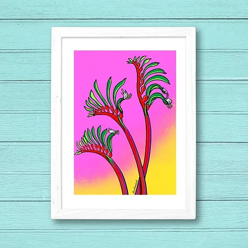 Kangaroo Paw fine art print